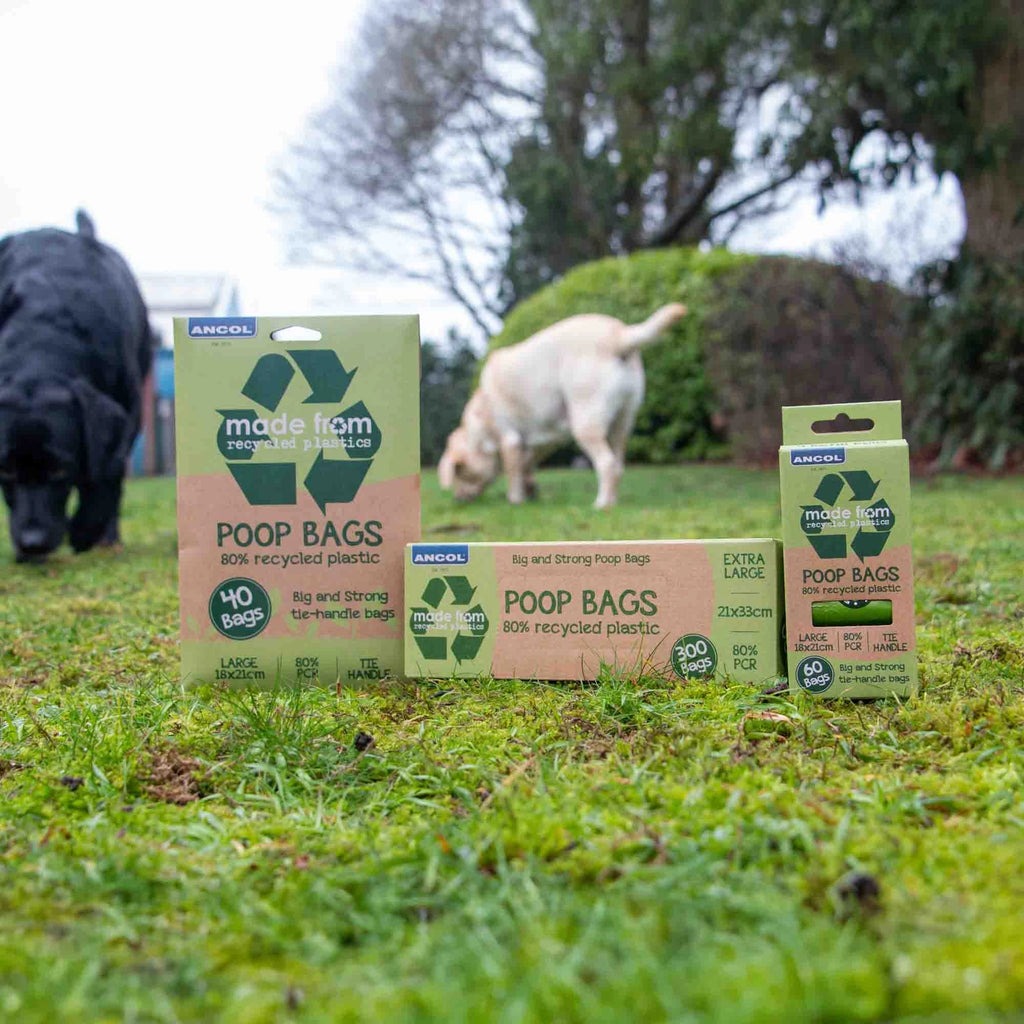 Recycled Poop Bags Flat Pack