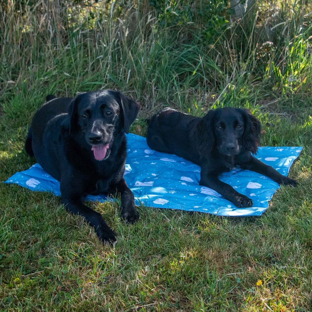 Ice Paws Cooling Mat Small or Large