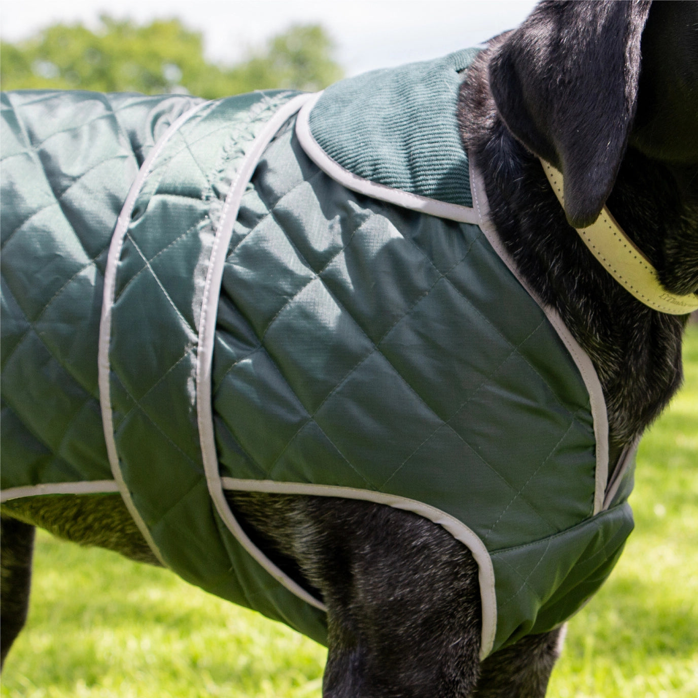 Heritage Green Quilt Dog Coat