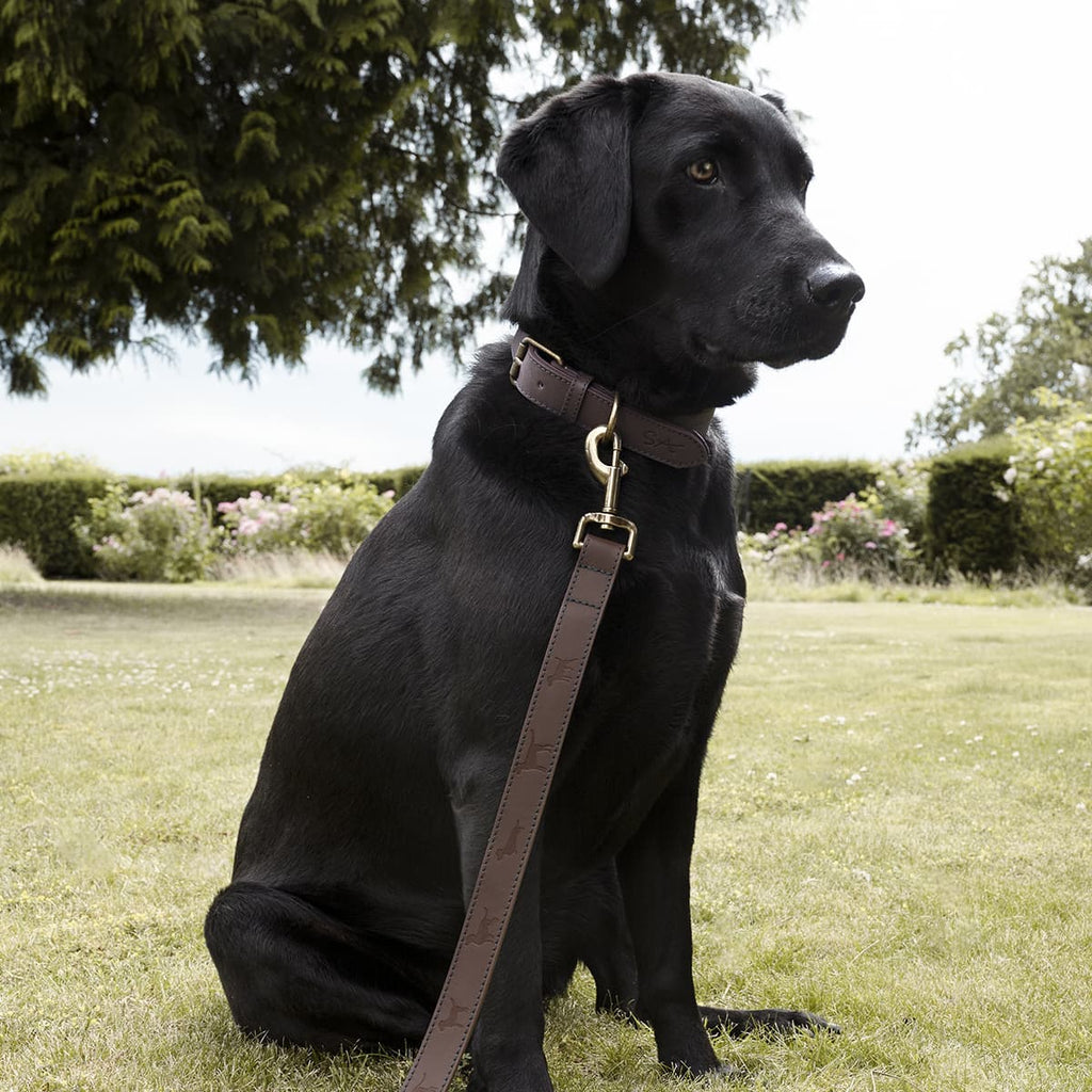 Woof Leather Dog Lead