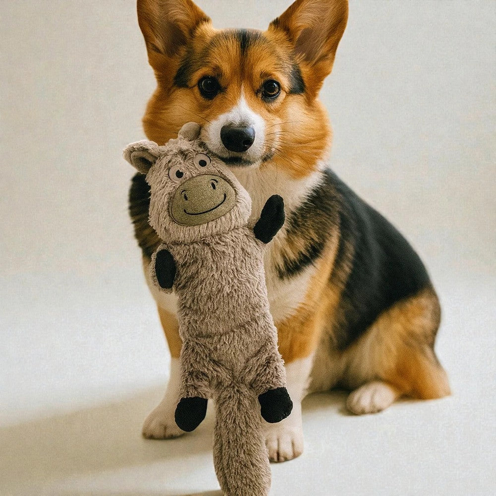 Plush Animal Squeaky Dog Toy | Chew & Training Toy
