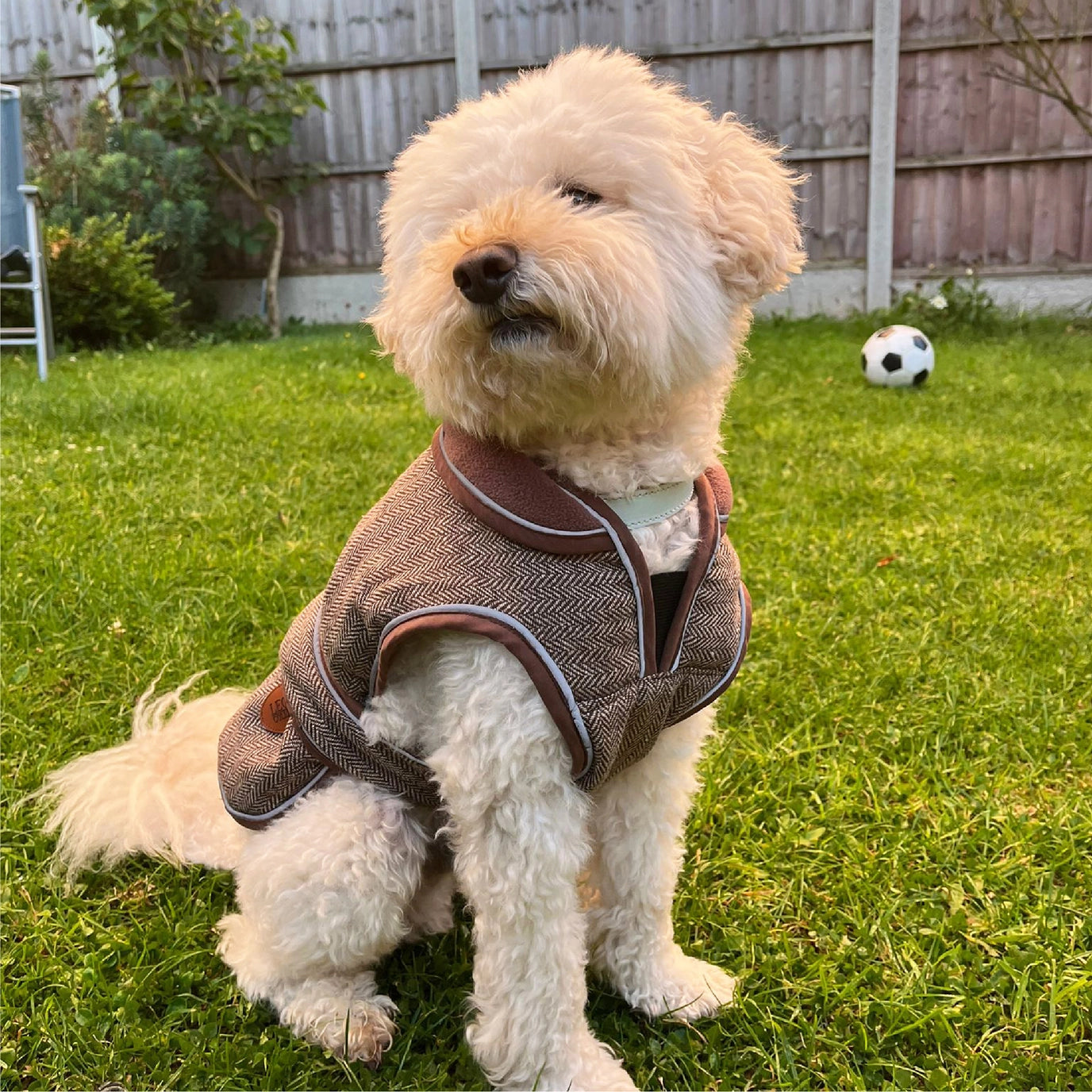 HugglePets Legacy Dog Coat Herringbone
