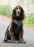 Hackett X Hugo Hudson Grey Checked Tweed Dog Lead