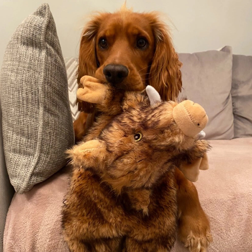 The Heritage Collection Huge Hog Unstuffed Toy