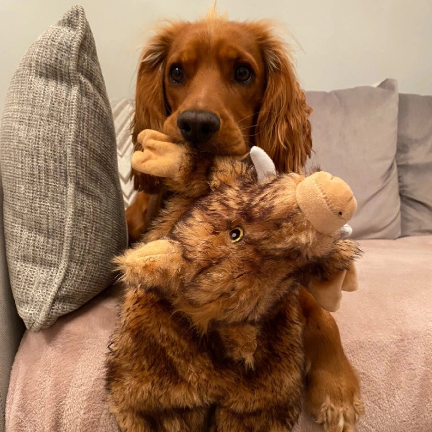 The Heritage Collection Huge Hog Unstuffed Toy