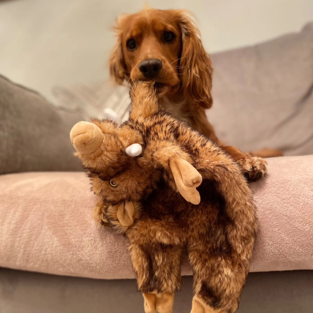 The Heritage Collection Huge Hog Unstuffed Toy