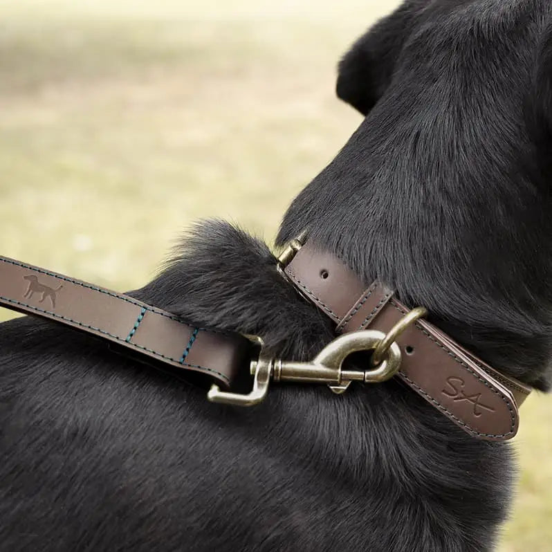 Woof Leather Dog Collar
