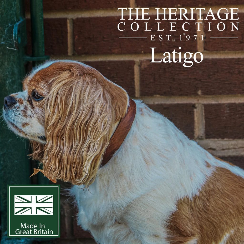 Latigo Leather Collar