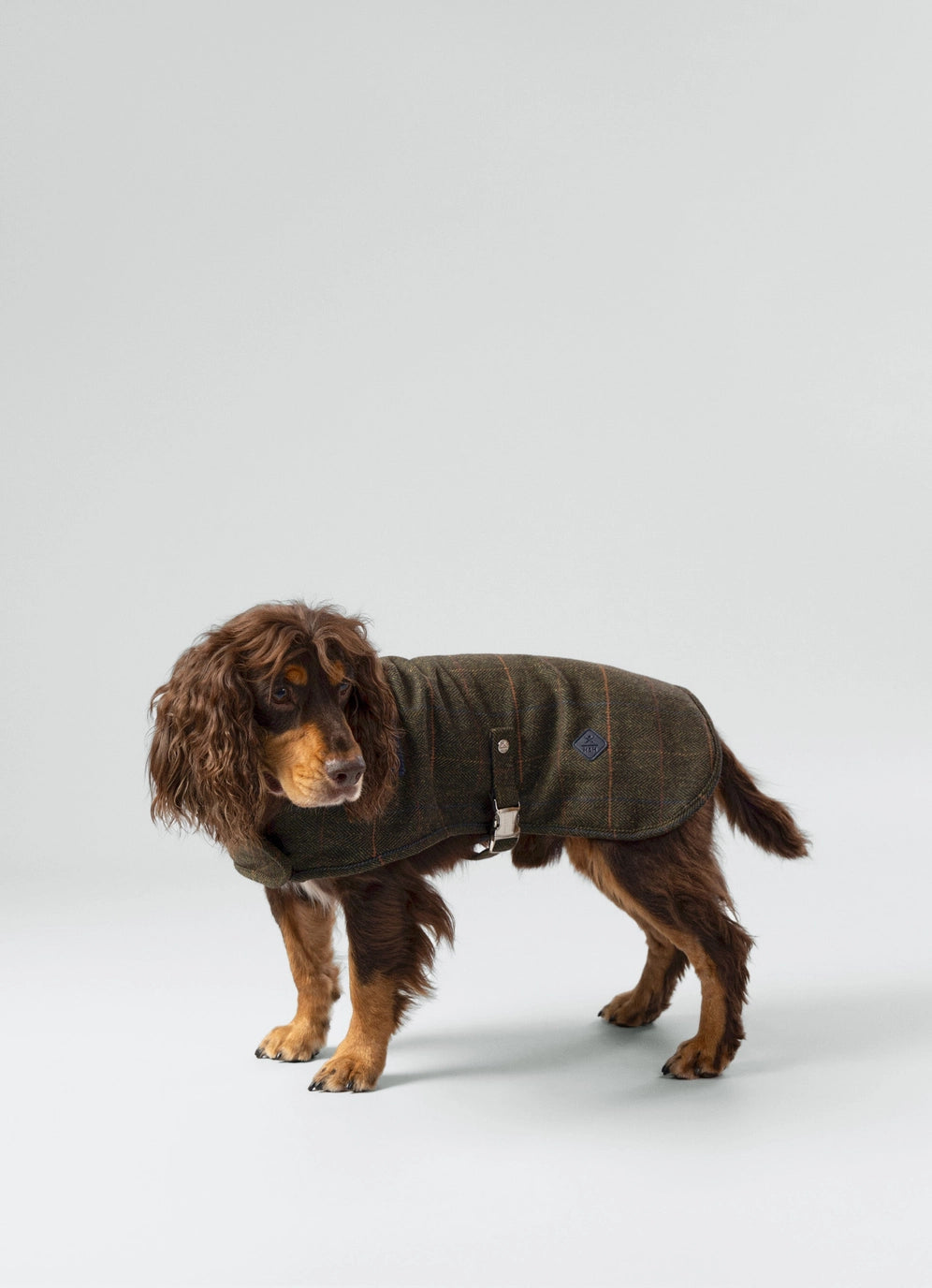 Hackett X Hugo Hudson Dark Green Checked Tweed Dog Jacket