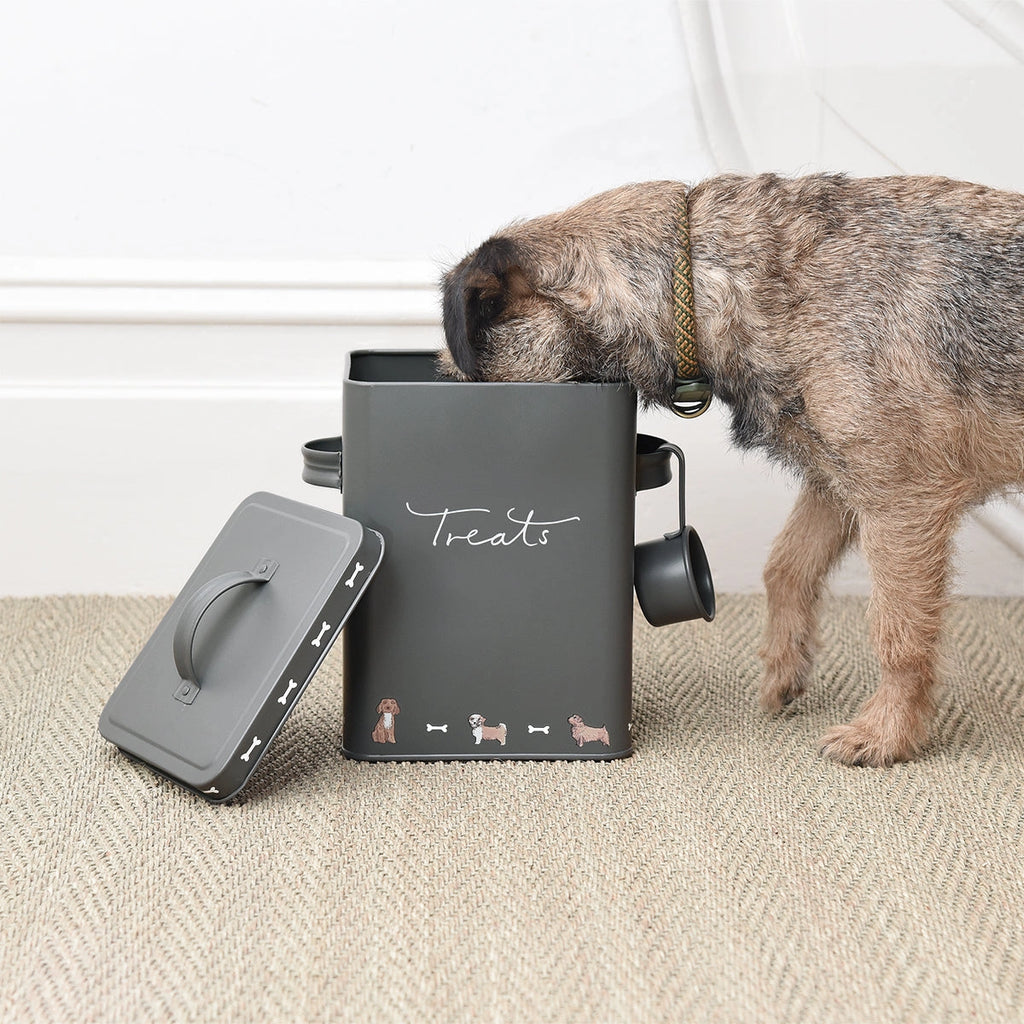 Walkies Storage Tin